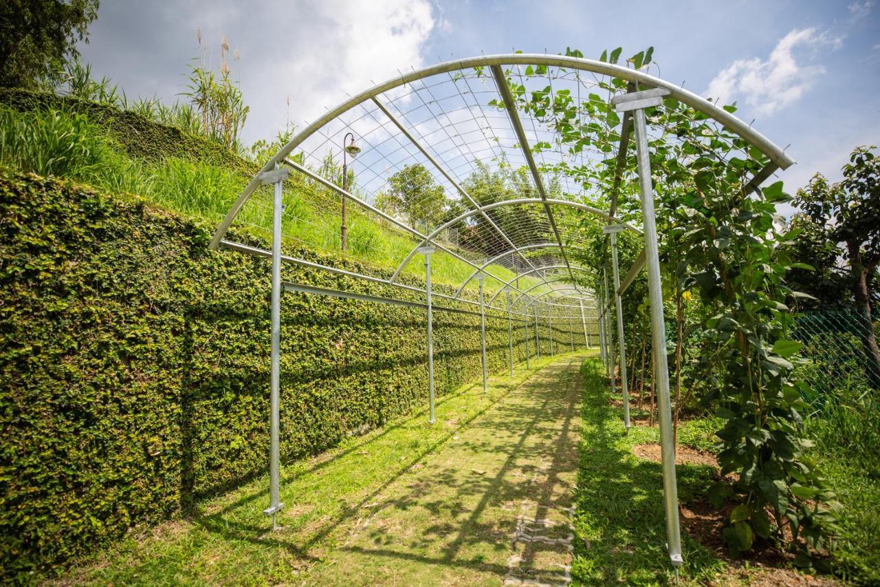 Red House The Garden Stay In Bukit Tinggi By Play 벤통 외부 사진